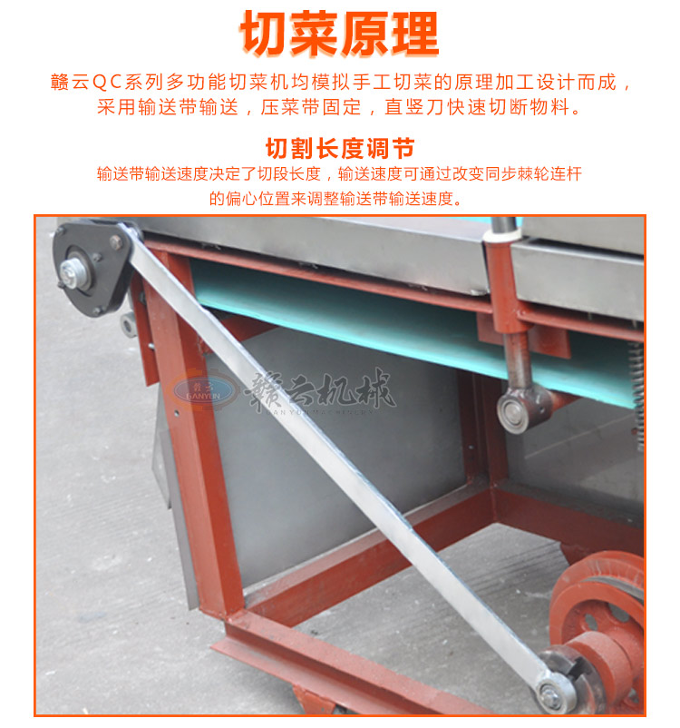 大型多功能切菜机商用剁碎酸菜切辣椒机切灵芝笋干机(图5) 大型多功能切菜机商用剁碎酸菜切辣椒机切灵芝笋干机(图5)